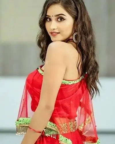 Call Girls Service Danta